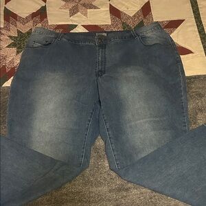 Ladies Plus Size Jeans